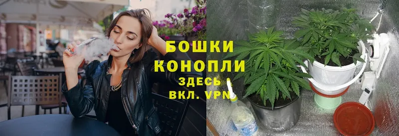 Марихуана White Widow  darknet официальный сайт  Козельск 